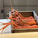 成生 - あかざえび