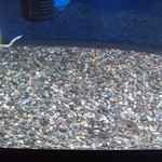 うなぎ亭 友栄 - 