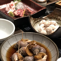 美神鶏 - 