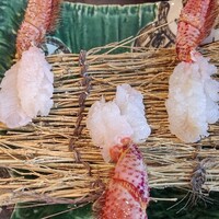 活かに 北斗 - 