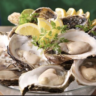 Enjoy the freshest raw Oyster selected from 5,000 tons a year