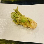 旬彩天 つちや - タラの芽