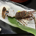 旅館　松の家 - 