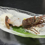 旅館　松の家 - 