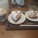 STARBUCKS COFFEE - 