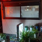 まこちゃん - まこちゃん