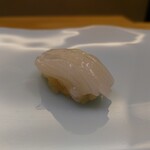 鮨 なんば - 白烏賊　塩とカボスと赤酢と烏賊のねっとりバラける感…