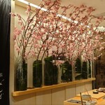 鮨 なんば - 赤井勝さんプレゼンツのOHANAMI　こちらは横浜緋桜