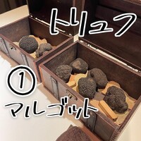 マルゴット エ バッチャーレ - 