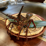 鉄板焼 ステーキ ぼんて - 