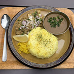 ホクトカレー in カレーピクニック - 