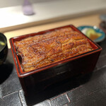 Unagi Tokitou - 