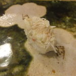 鮨おおね田 - 2013/07　毛がに