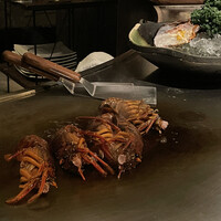 atelier 森本 XEX 鉄板 - 