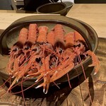 温石 - 赤座海老！生きてます！