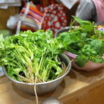 ソンポーン - 2013.7 カウンターに置かれたハーブ、左からパクチー、ミント、パッパイ