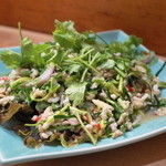 2013.7 ヤムカイモッデーン（赤蟻の卵のサラダ）