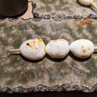 厳選焼鳥 一石三鳥 本店 - 