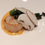 タツキ - 菜花・紅菜苔・ブラウンマッシュルーム・ピンクペッパー・サヴァイヨン