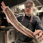 Alternative - 巨大な伝助穴子