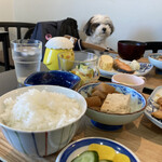 カフェダイニング ソラ - 店内で愛犬と…笑