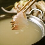 濃厚鯛スープでいただく和食処いと家の真鯛しゃぶしゃぶ たっぷり2~3人前 濃厚鯛スープでいただく和食処いと家の真鯛しゃぶしゃぶ たっぷり2~3人前