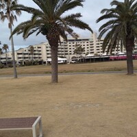The lounge on the water - 