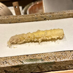 日本橋 蕎ノ字 - 磐田　アスパラ　穂先　根元