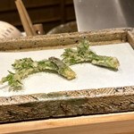 日本橋 蕎ノ字 - 掛川　たらの芽