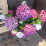 天寿し - 紫陽花の季節でした