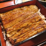 Unagi Miyagawa - 