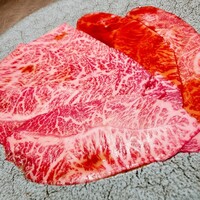 USHIGORO S. GINZA - 