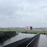 鳥千 - 雨の東京競馬場（非開催）