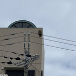 淡路島ラーメン ポプラ - お見送りのトンビ