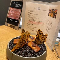 SIO syuji hijikuro - 