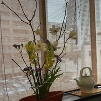 広島旨い物処 稲茶 - 