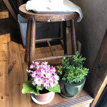 ノジリカフェ - 花にも癒されます