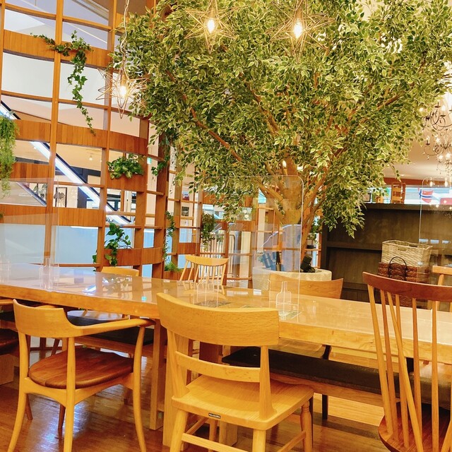 MOA cafe Nagoya Honten photo 4