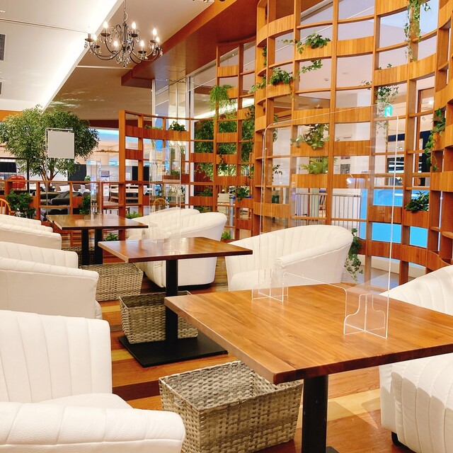 MOA cafe Nagoya Honten photo 5