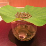 神保町 傳 - 神戸の知人から仕入れたジュンサイ　出汁と酢のゼリー　パンションフルーツ　バジルシード　海葡萄と共に