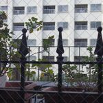 アブラッチョ - 