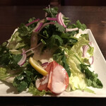 DUNA TAPARI - パクチーとトマトのサラダ