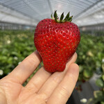 姫路ハートフル観光農園 - 