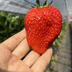 姫路ハートフル観光農園 - 