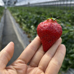 姫路ハートフル観光農園 - 