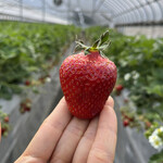 姫路ハートフル観光農園 - 