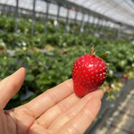 姫路ハートフル観光農園 - 