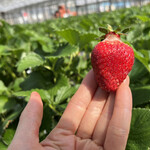 姫路ハートフル観光農園 - 