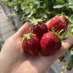 姫路ハートフル観光農園 - 