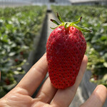 姫路ハートフル観光農園 - 